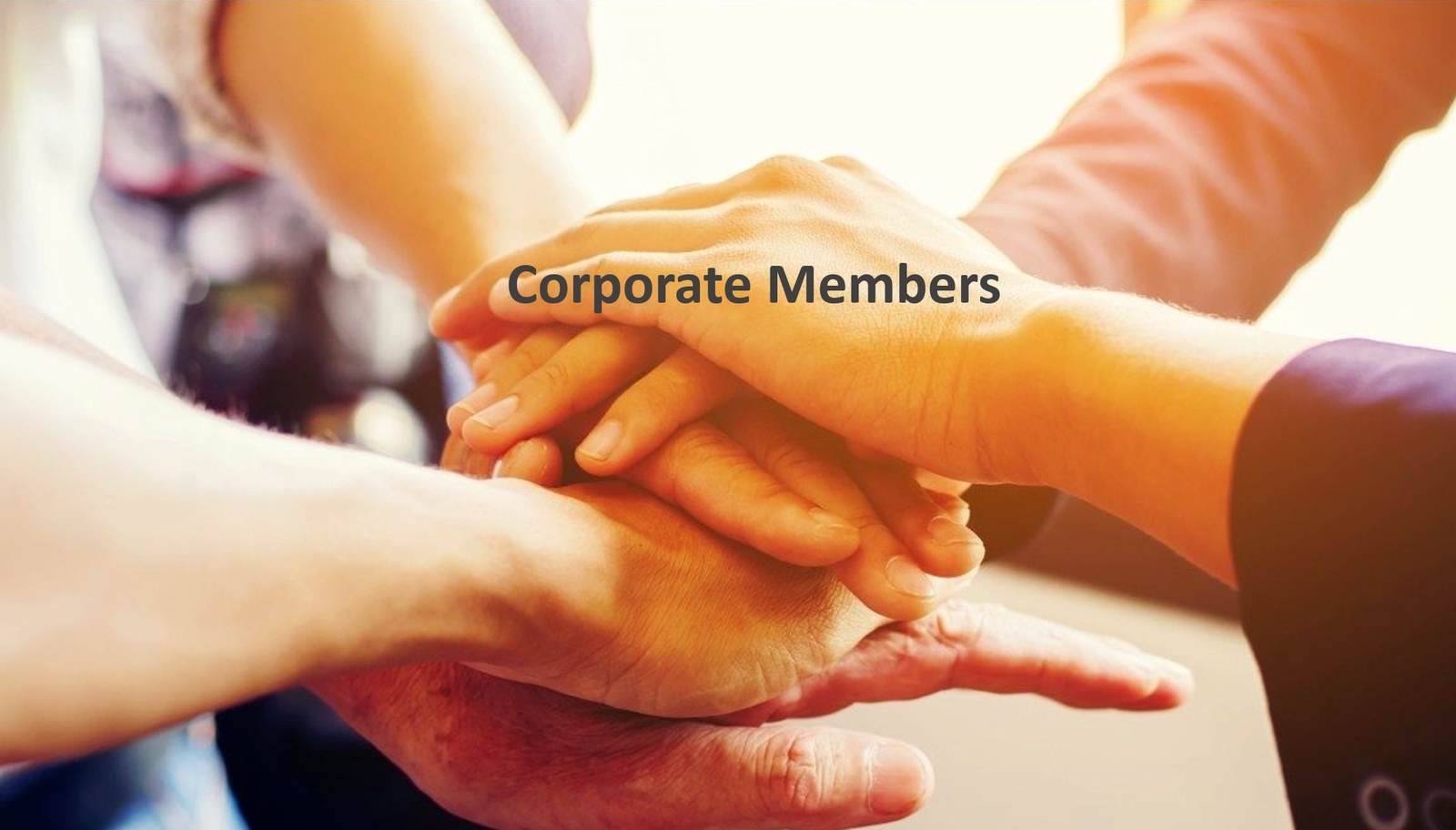 Corporate Members-GLORIA NCKU