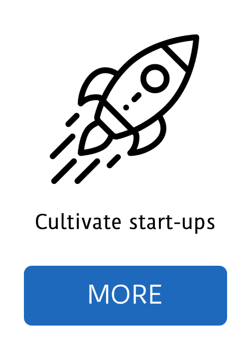 startups incubation